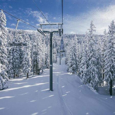 Chalet Les Clarines Daire La Rosiere  Dış mekan fotoğraf