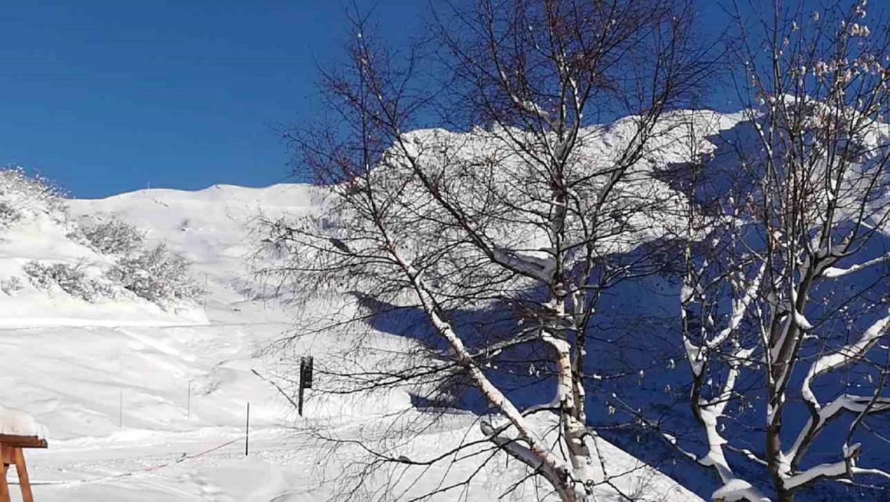 Chalet Les Clarines Daire La Rosiere  Dış mekan fotoğraf